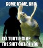 Come At Me Bro - i\'ll Turtle Slap The Shit Out Of You.jpg